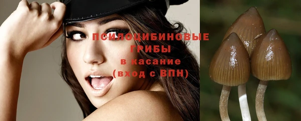 круглые Богданович