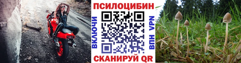 Галлюциногенные грибы прущие грибы  Верхний Уфалей 