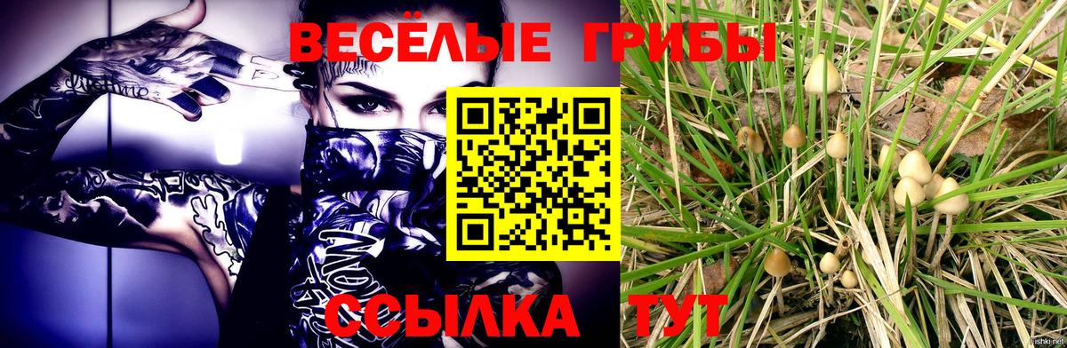 Псилоцибиновые грибы Psilocybine cubensis  Вход с VPN  Верхний Уфалей 