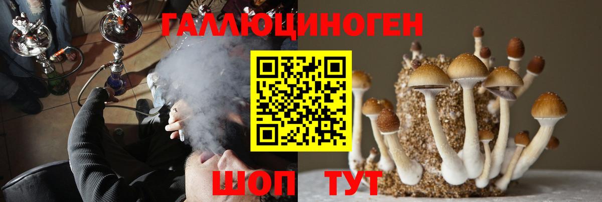 Галлюциногенные грибы Cubensis  что такое наркотик  Верхний Уфалей 